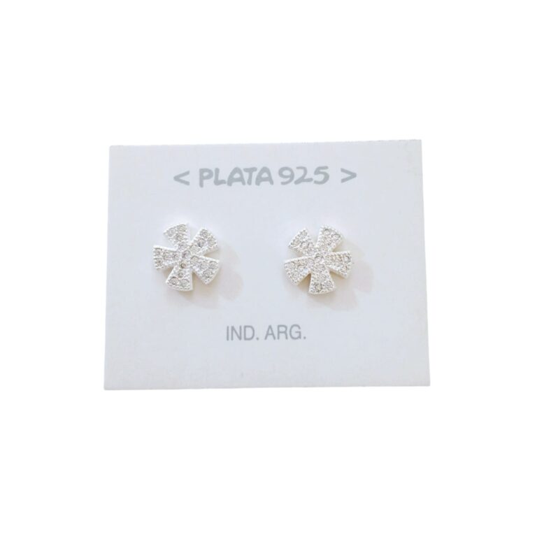 Aro plata 925 microcubic