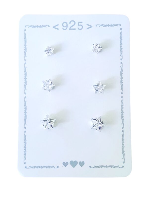 1000165810.jpg Aro Plata 925 Blister x3 Pares