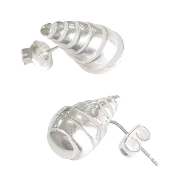 1000171879.png Aro Plata 925 Moda Chunky