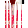 Set Brocha p/ Maquillaje en Caja