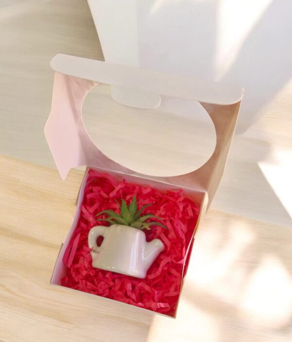 Caja 12 circulo