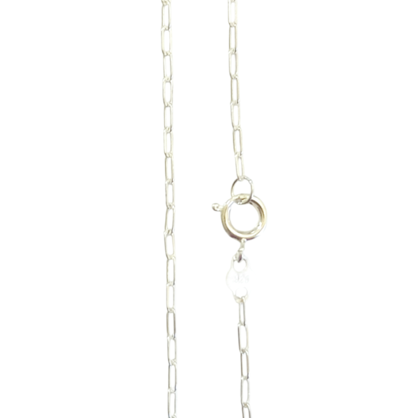 1000116780-1.png Cadena plata 925 forcet larga 45x50