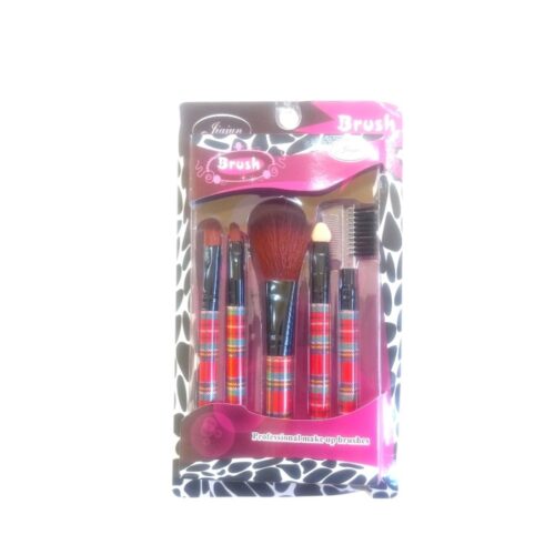 Set de brochas p/maquillaje en caja