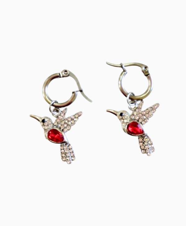 Aro AQ argolla c/colibrí c/Strass