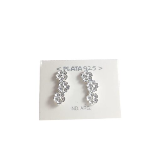 Aro plata 925 microcubic