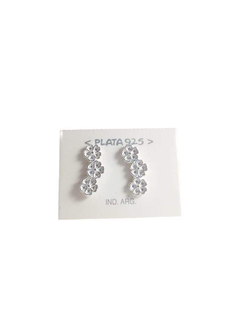 Aro plata 925 microcubic