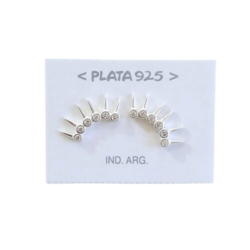Aro plata 925 microcubic