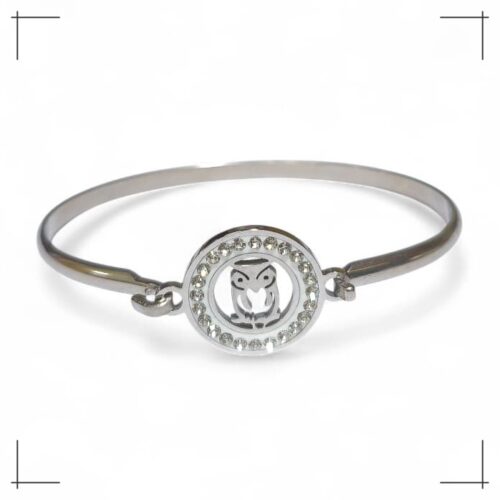 Pulsera AQ tipo esclava c/dije Stras