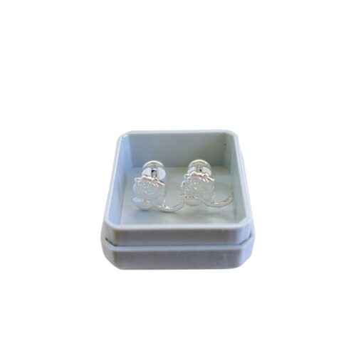 Abridor Plata