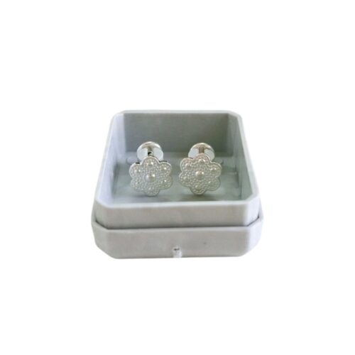 Abridor Plata