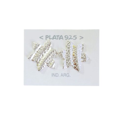 Copia de Aro Plata 925 Oganico