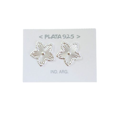 Aro Plata 925 Organico