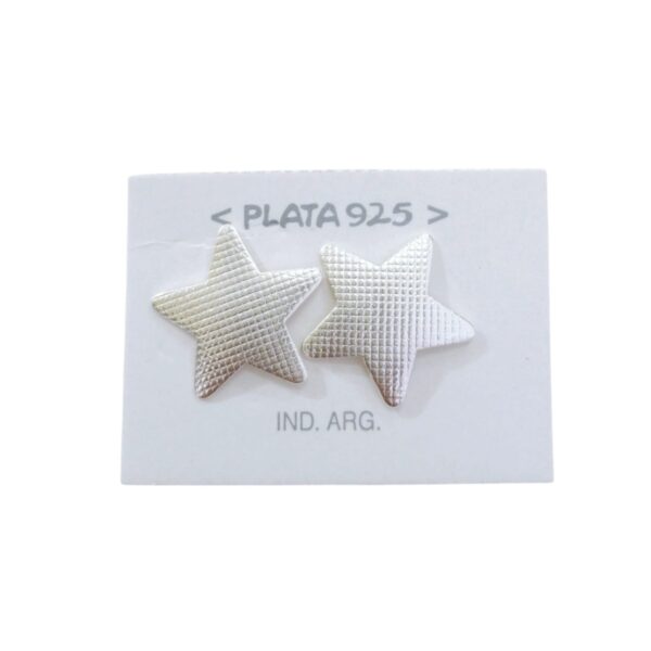 Aro Plata 925 Organico