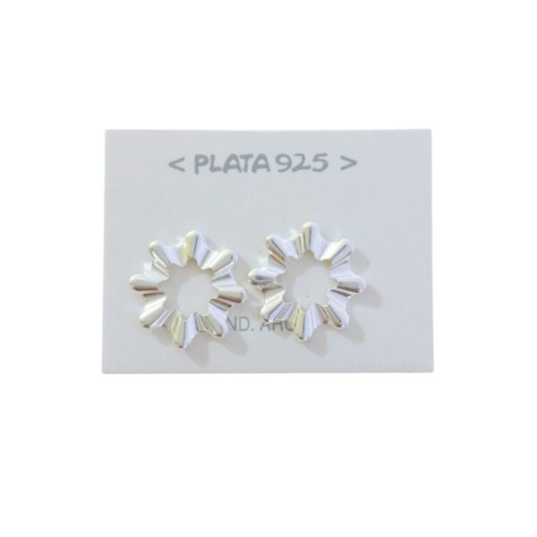 Aro Plata 925 Organico