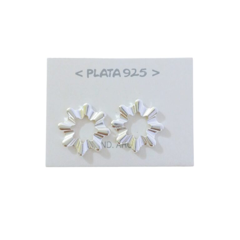 Aro Plata 925 Organico