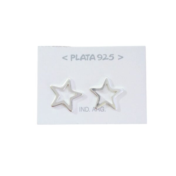 Aro Plata 925 Organico