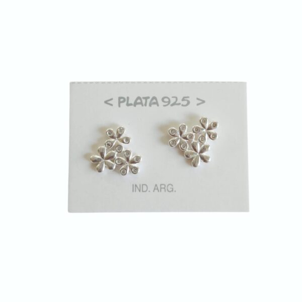 IMG-20250818-WA0037 Aro Plata 925 c/ Micro Cubic