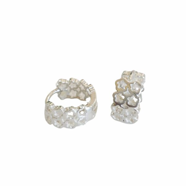 Aro Plata 925 Argolla