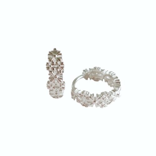 Aro Plata 925 Argolla