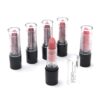 Labial en barra Matte Skora