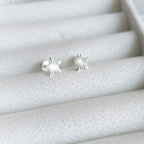 Aro abridor de plata x UNIDAD