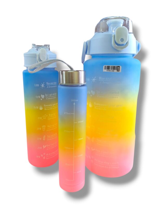 Botellas motivacional x3
