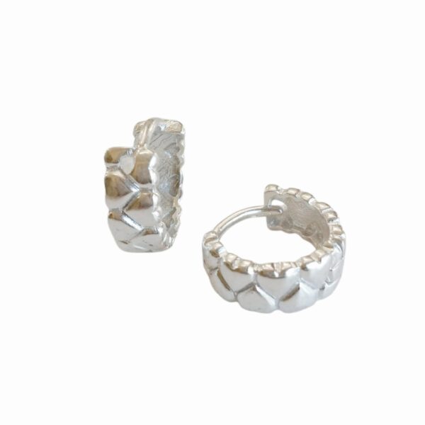 Aro Plata 925 Argolla