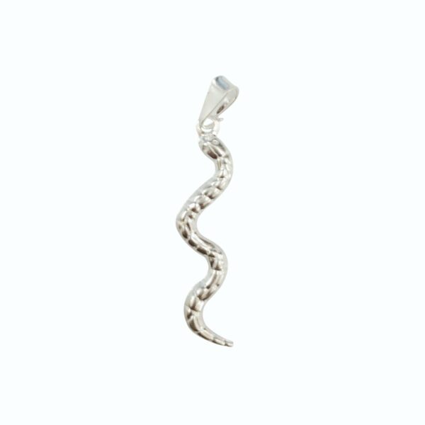 WhatsApp Image 2026-05-22 at 12.04.38 Dije Plata 925 Serpiente