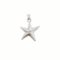 Dije Plata 925 estrella mar