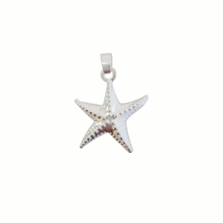 Dije Plata 925 estrella mar