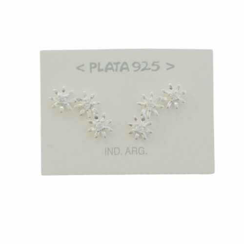 Aro Plata 925 c/ Micro Cubic