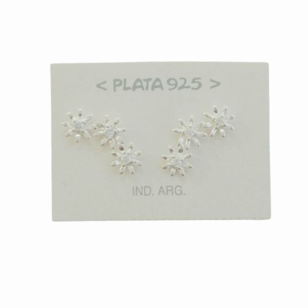 Aro Plata 925 c/ Micro Cubic