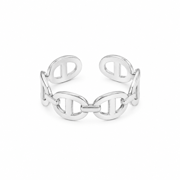 Anillo laminado plata 1000