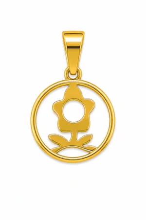 Dije Acero Dorado